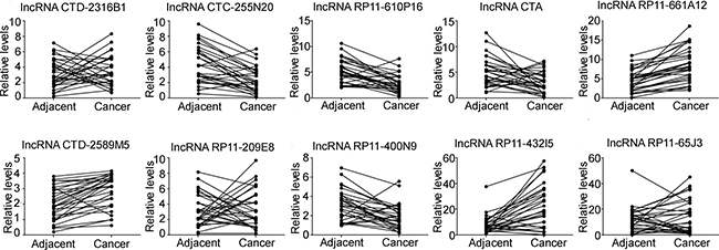 The expression of miR-210 related lncRNAs in osteosarcoma tissues.