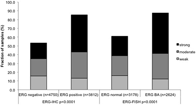 Associations between positive FAM13C immunostaining and ERG status (IHC/FISH).