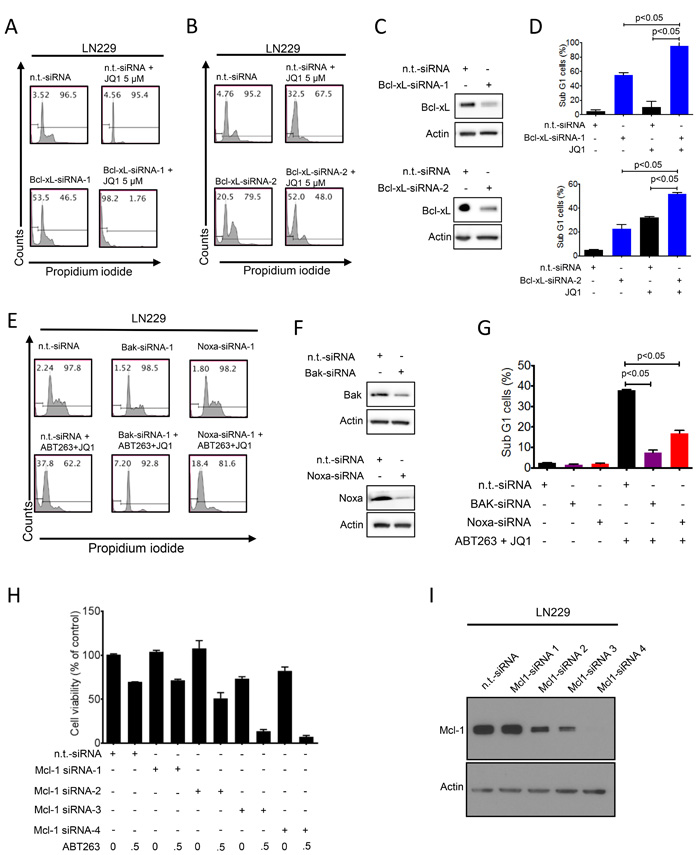 Functional implications of Bcl-2 family members in the combined treatment of ABT263 and JQ1.