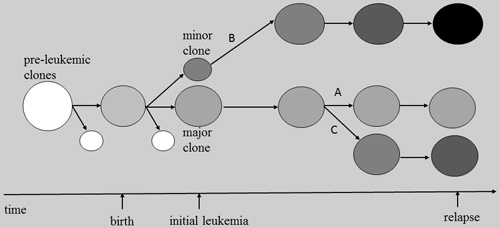 Models for the relapse of ETV6/RUNX1-positive leukemia.