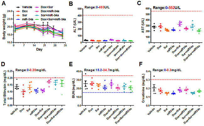 Triple-drug combination therapy was well tolerated in mice.