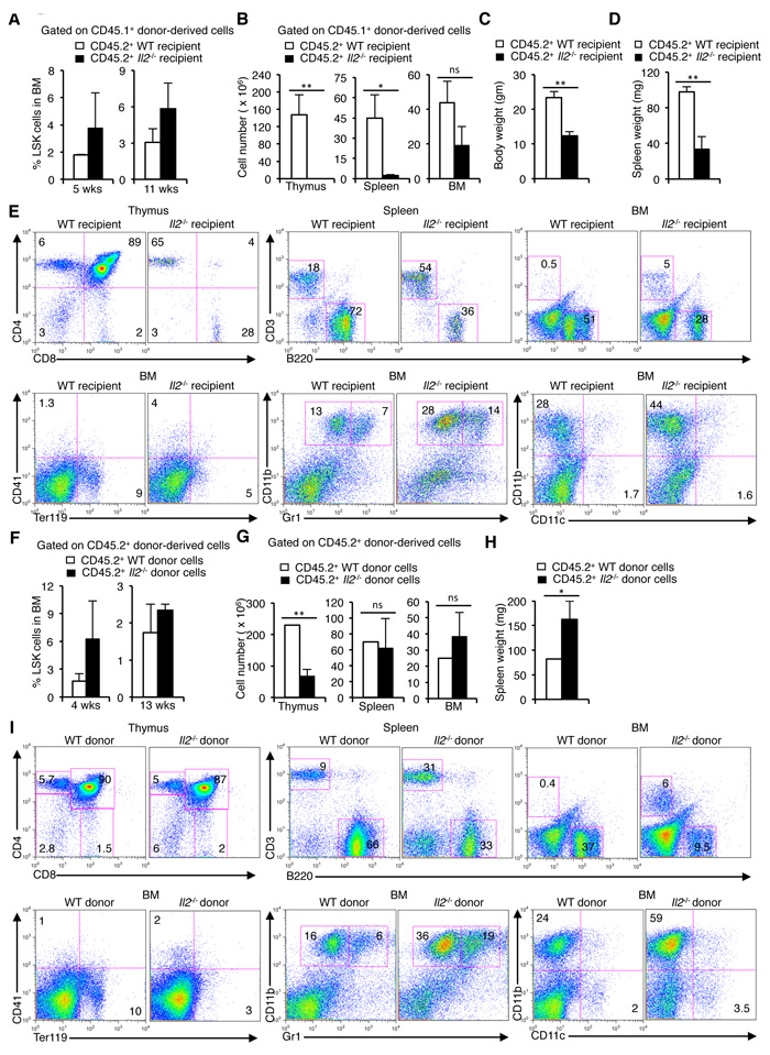 HSC maintenance in BM depends on IL-2 signaling.
