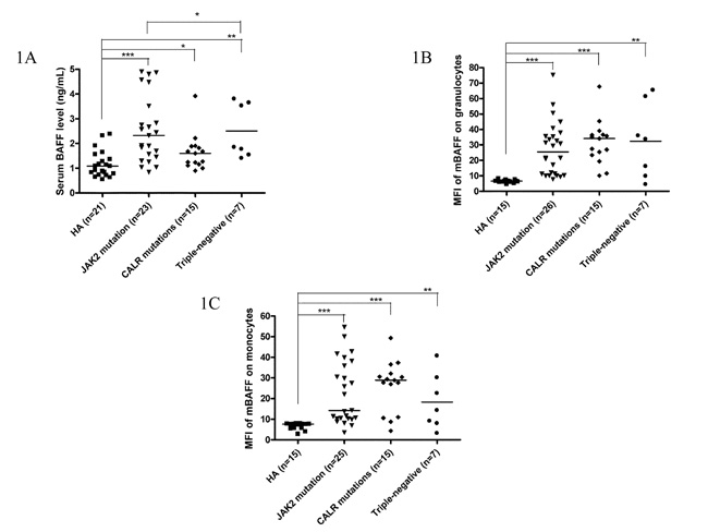 Elevated serum BAFF levels and higher membrane-bound BAFF expression in peripheral granulocytes and monocytes of ET patients.