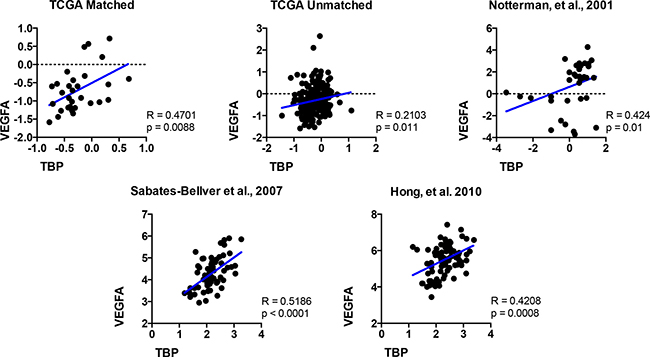 The relative expression of VEGFA and TBP are positively correlated in colon tissue.