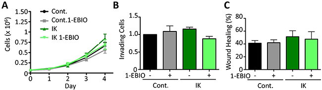 IK over-expression and activation with 1-EBIO had no effect on MDA-MB-231 proliferation, invasion, or migration.