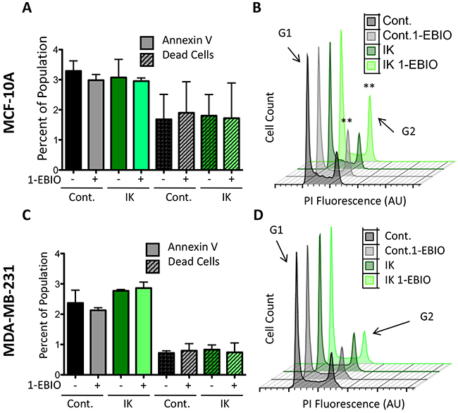 1-EBIO treatment increased G2 phase accumulation in MCF-10A but had no effect on MDA-MB-231.