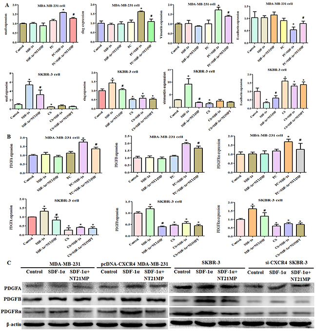 NT21MP regulates drug resistance via CXCR4.