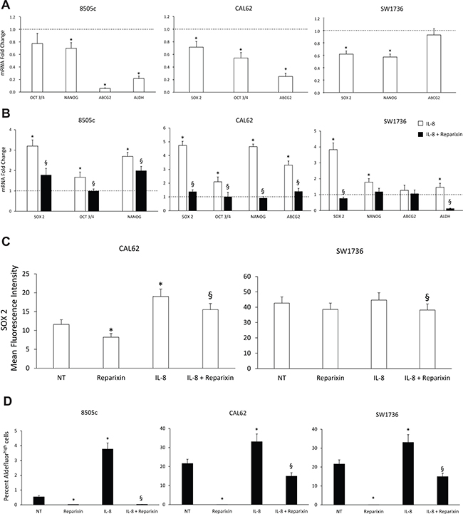 Reparixin inhibits stemness features of TC cells.