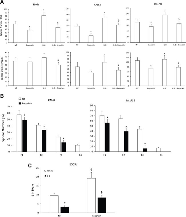 Reparixin reduces TC SCs functional activities.