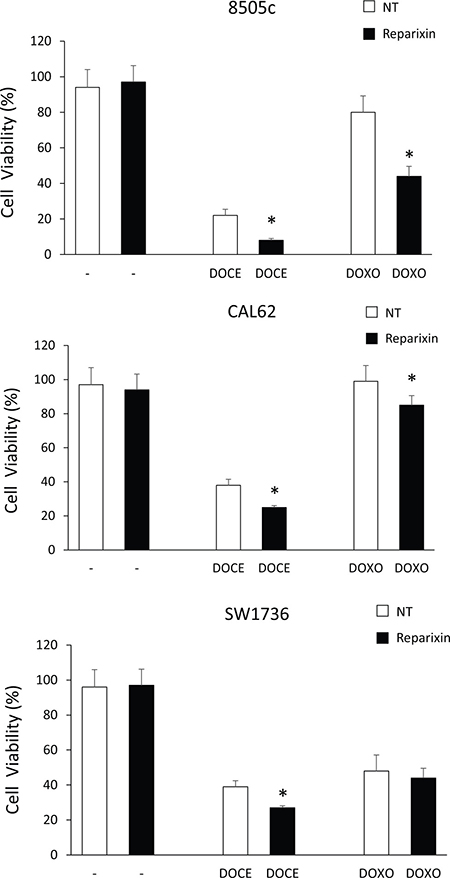 Reparixin potentiates anti-neoplastic effects of chemoterapics on TC cells.