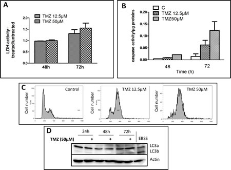 TMZ induced apoptosis and G2 cell arrest at therapeutic concentrations in U251 cells.