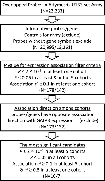 Flow chart for GATA3-related genes screening pipeline.