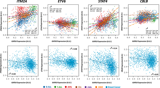 Expression association status of GATA3 with ITM2A, ETV6, STAT4, and CBLB in different types of leukemia, including B-ALL (N = 576), T-ALL (N = 174), AML (N = 542), CLL (N = 448), CML (N = 76), and healthy bone marrow (HBM, N = 74) based on GSE13204, and breast cancer based on EGAS00000000083 (N = 1,992).