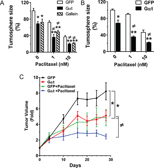Blocking G&#x03B2;&#x03B3; signaling increases the therapeutic efficacy of paclitaxel in vitro and in vivo.