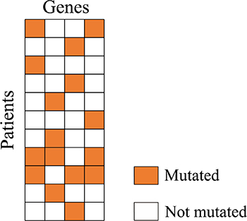 A candidate module mutation matrix.