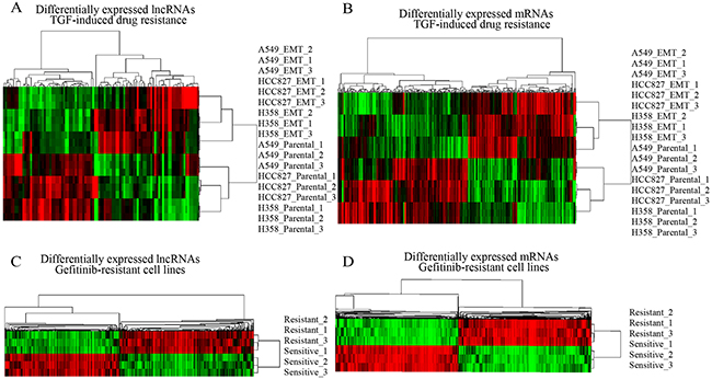 Expression differences of lncRNAs and mRNAs in drug resistance lung cancer cell lines.