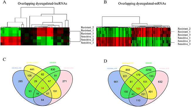 Overlapping differential expression of lncRNAs and mRNAs.