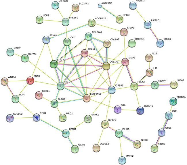 The protein-protein interaction networks constructed cytoscape software.