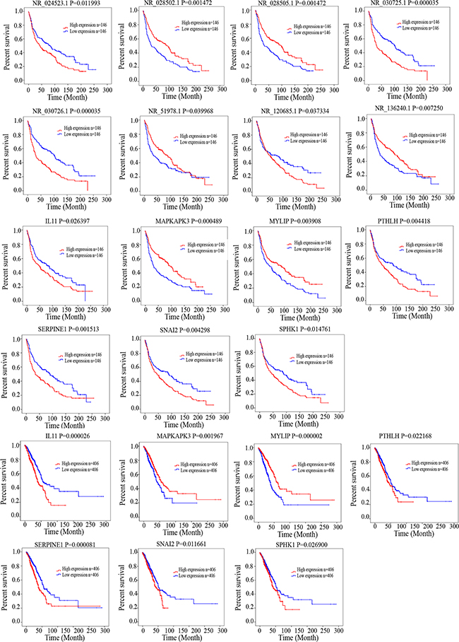 Kaplan&#x2013;Meier analysis for overall survival of patients from TCGA and GEO database.