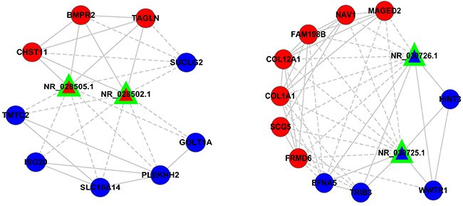 The expression of two pair lncRNAs subnetworks.