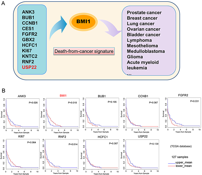 GC patient survival plots of &#x2018;death-from-cancer&#x2019; genes.