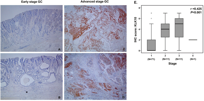 Immunohistochemical analyses of KLK10.