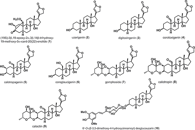 Chemical structures of cardenolides isolated from Calotropis gigantea.