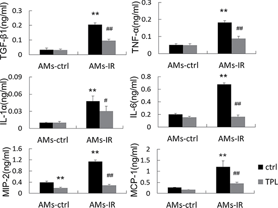 TPL reduced cytokine production in AMs from lung tissue at 2.5 days after thoracic irradiation.