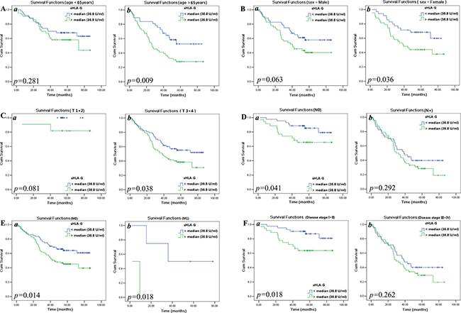 Kaplan-Meier survival analysis of stratified clinical parameters in survival by sHLA-G (sHLA-Glow or sHLA-Ghigh) in CRC patients, respectively.