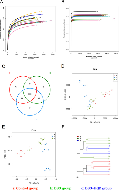 Evaluation of illumina MiSeq sequencing data showing that HQD could modulate the overall structure of gut microbiota.