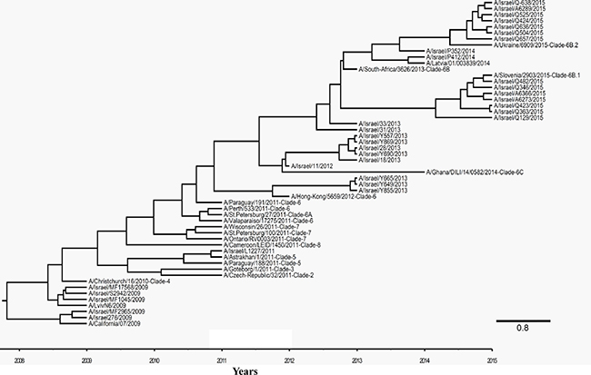 Phylogenetic tree of A(H1N1)pdm09 viruses.
