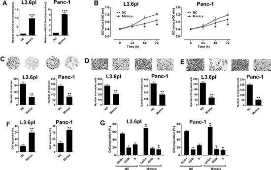 Up-regulation of miR-613 inhibited cell proliferation, invasion and migration in pancreatic cancer cells.