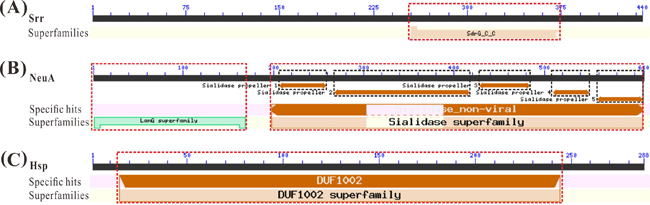 Conserved domain analysis of vaccine candidate antigens.