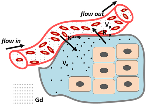 Tofts Model: classical DCE-MRI model.