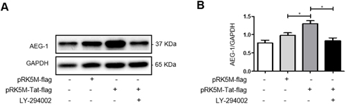 HIV-1 Tat upregulates AEG-1 in U87 cells