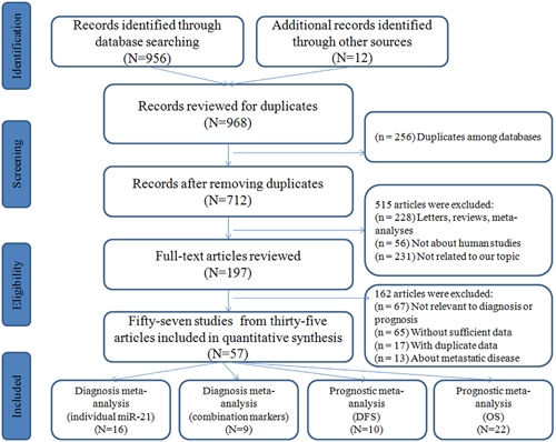 Flow diagram of the study selection process.