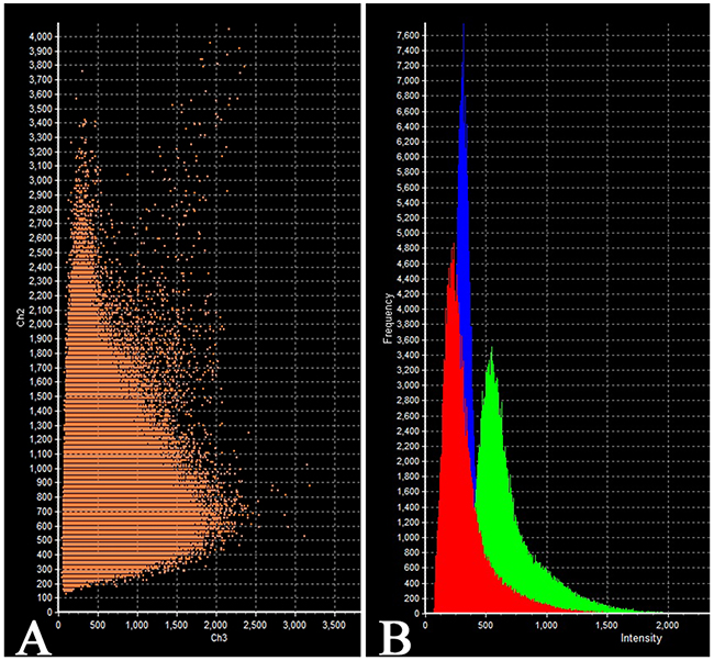 Laser Confocal Scanning Microscopy of the normal anterior pituitary.