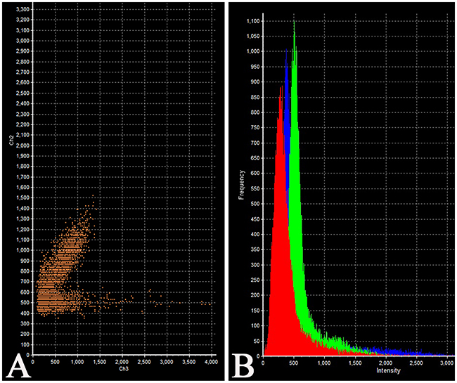 Laser Confocal Scanning Microscopy of the normal anterior pituitary.