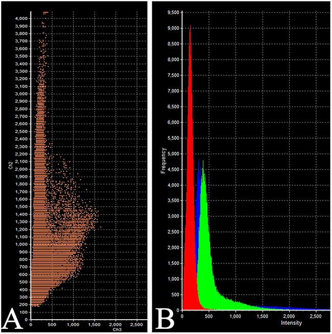 Laser Confocal Scanning Microscopy of the normal anterior pituitary.