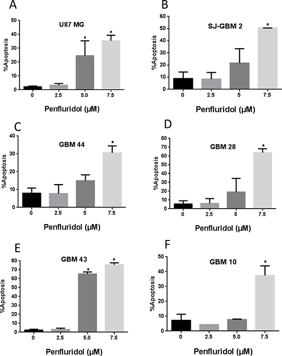 Penfluridol induce apoptosis in glioblastoma cells.