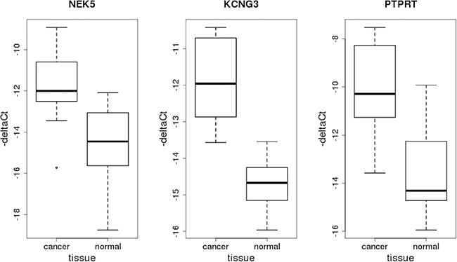 Box-plots representing relative expression levels of genes NEK5, KCNG3 and PTPRT obtained by RT-qPCR.