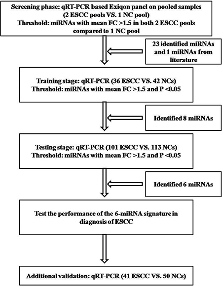 Overview of the experiment design.