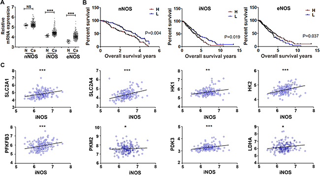 Gene expression profiling analysis of NOS isoforms in clinical ovary cancer tissues.