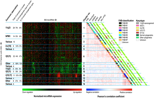 Unsupervised clustering of the pediatric AML samples using their miRNA profiles.