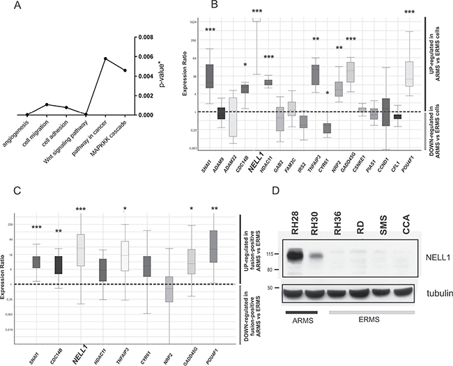 Gene expression level of methylation-related genes.