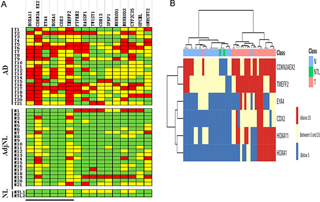 DNA methylation profile in lung AD tissues by MethyLight analysis.