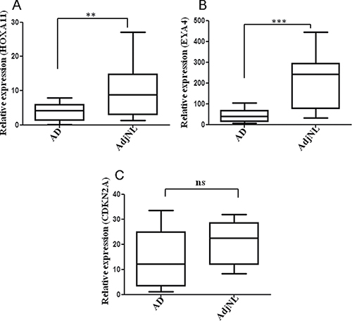 Figure 3: