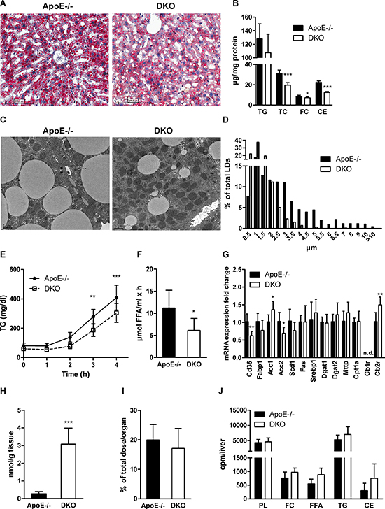 Reduced hepatic steatosis and VLDL secretion in DKO mice.