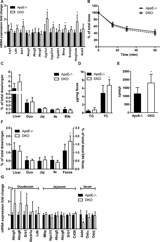 Increased biliary secretion of hepatic cholesterol in DKO mice.