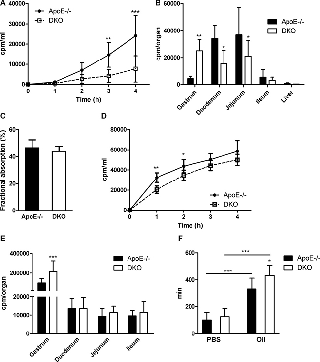 Delayed gastric emptying and reduced gut motility in DKO mice.